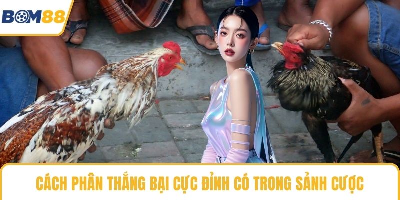 Cách phân thắng bại cực đỉnh có trong sảnh cược
