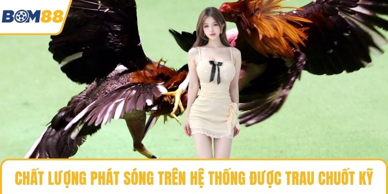 Chất lượng phát sóng trên hệ thống được trau chuốt kỹ
