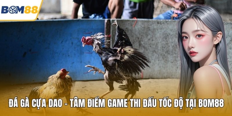 Đá Gà Cựa Dao – Tâm Điểm Game Thi Đấu Tốc Độ Tại Bom88
