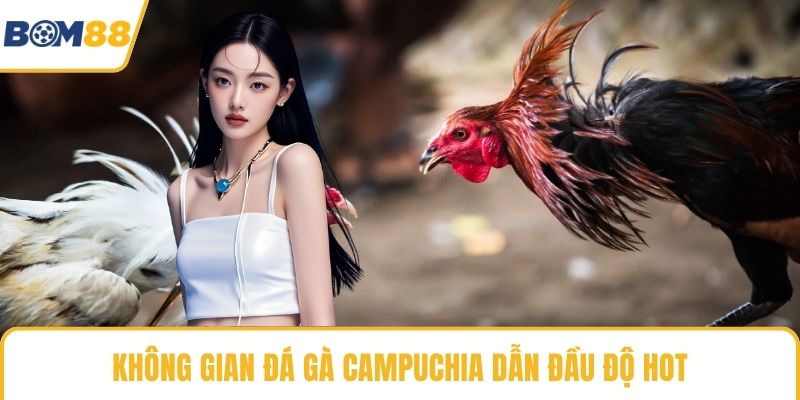 Không gian đá gà Campuchia dẫn đầu độ hot