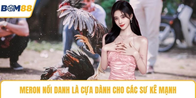 Meron nổi danh là cựa dành cho các sư kê mạnh