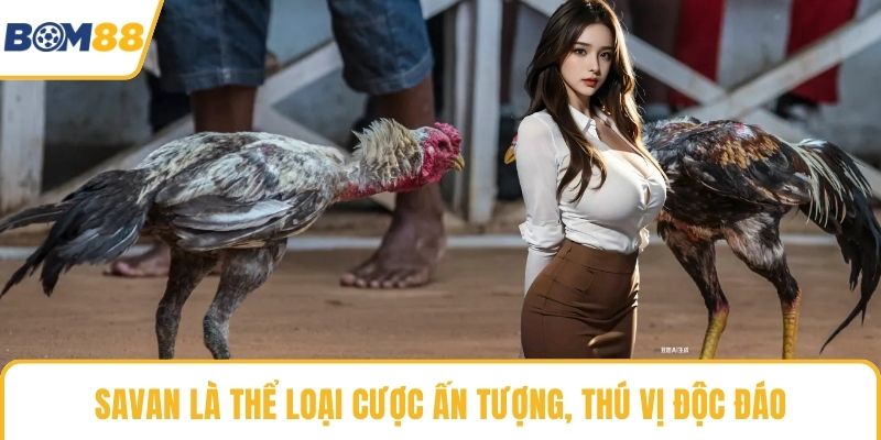 Savan là thể loại cược ấn tượng, thú vị độc đáo