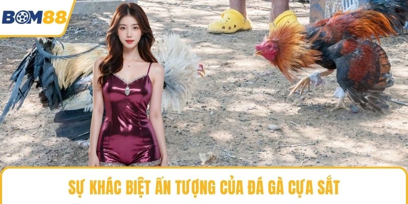 Sự khác biệt ấn tượng của đá gà cựa sắt