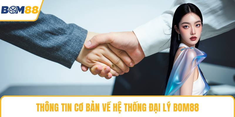 Thông tin cơ bản về hệ thống đại lý Bom88